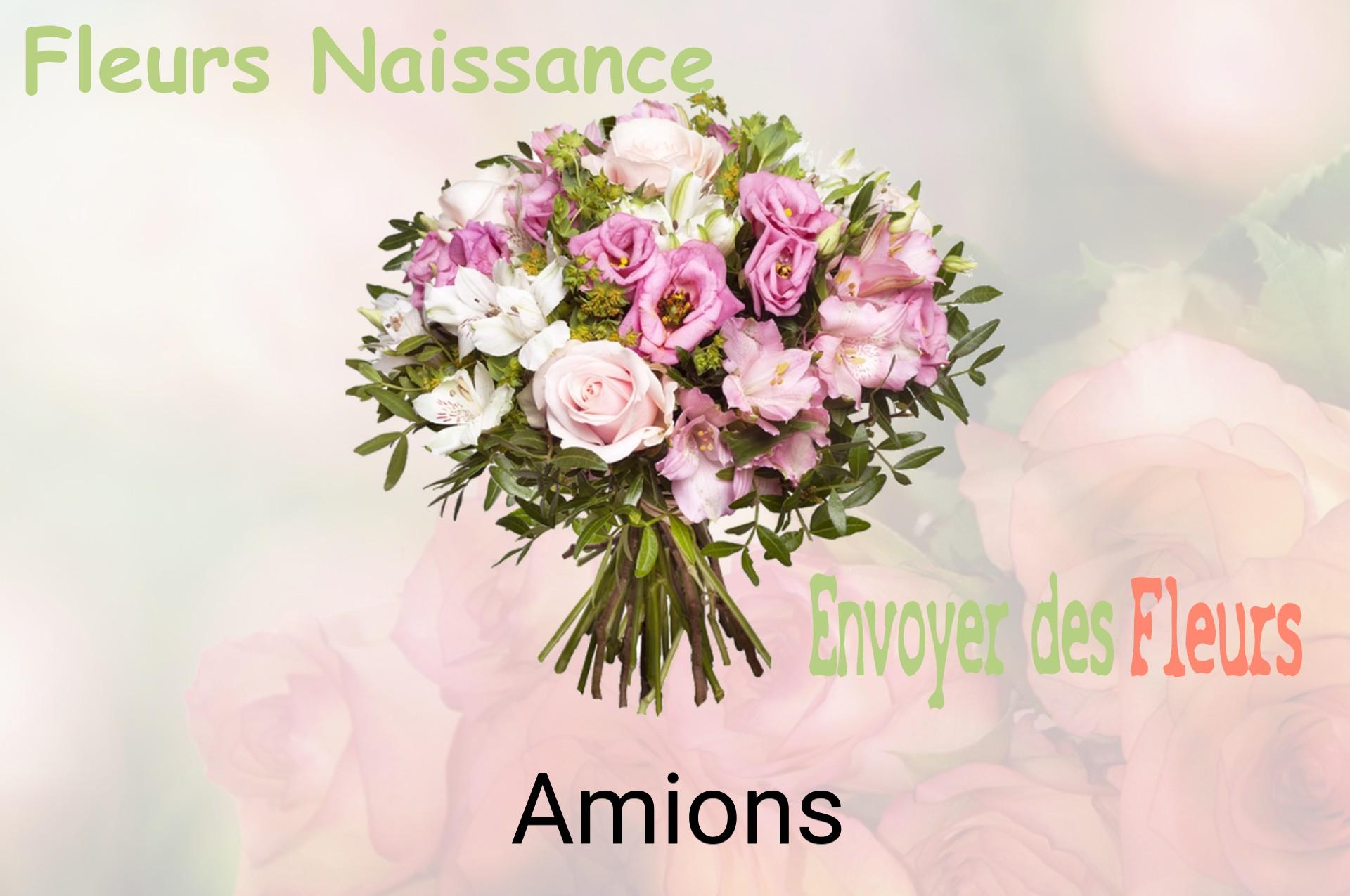 Bouquet de fleurs de naissance livré à Amions
