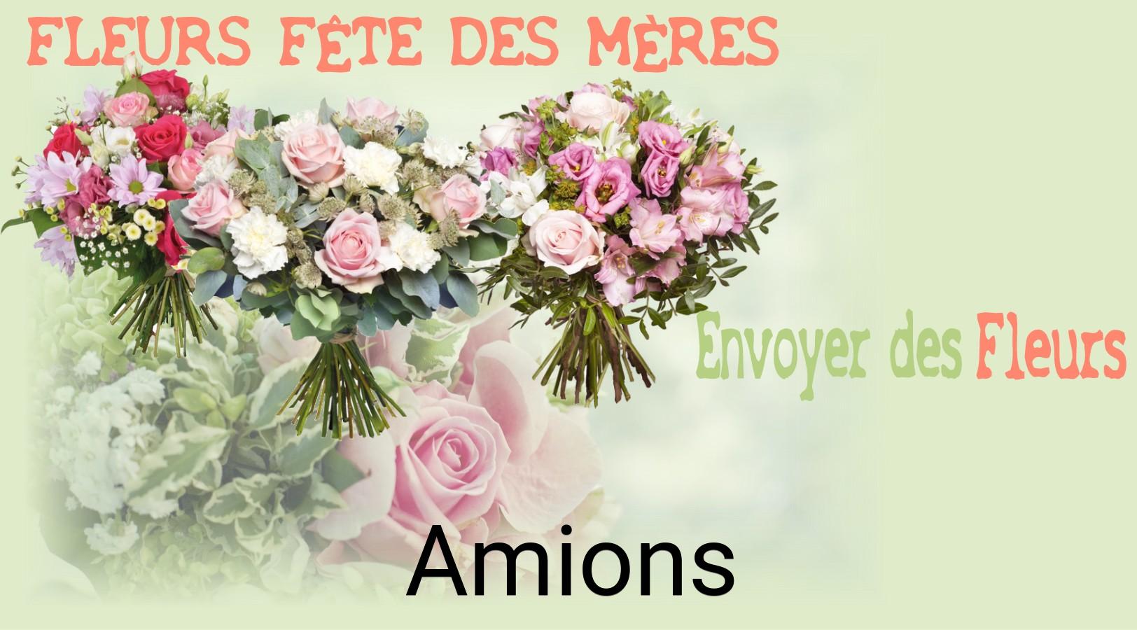 Bouquet de Fête des Mères livré à Amions